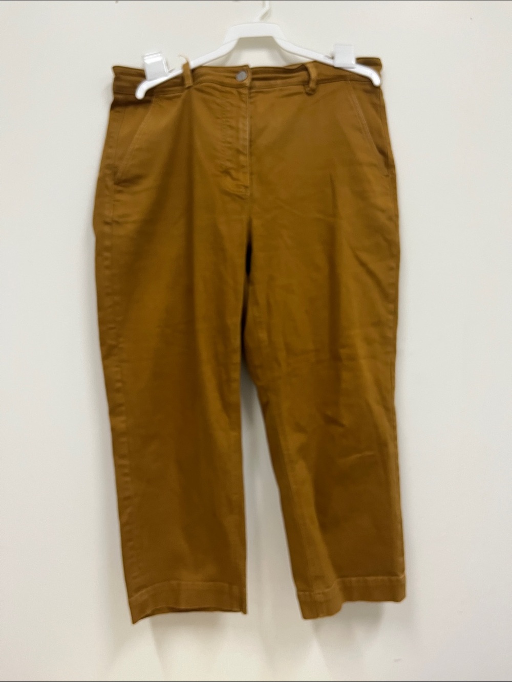 Everlane Cropped Straight Short Leg jeans in Caramel Brown size 14